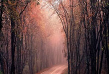 特巴斯贊揚貝林厄姆:歐洲最佳踢球者在西甲,像是從外太空降臨.