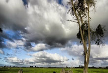 球速体育官方:深足未收歸化卡爾德克通知 已通過考察等足協審核.