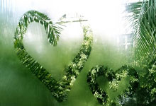 8000萬歐年薪三年合同 吉達聯合正式報價薩拉赫!.