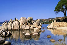 球速体育welcome:三年前的今天梅西正式加盟巴黎聖日耳曼豪華NMM組合閃耀登場.